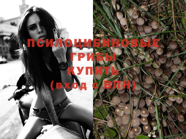 МДПВ Аркадак
