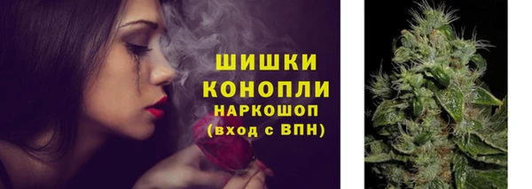 винт Арсеньев
