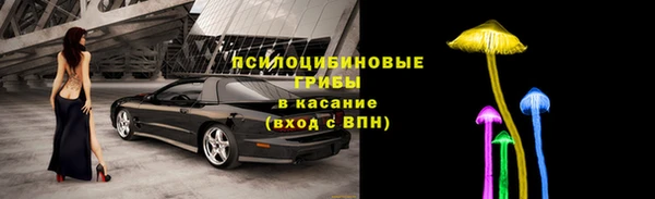 винт Арсеньев