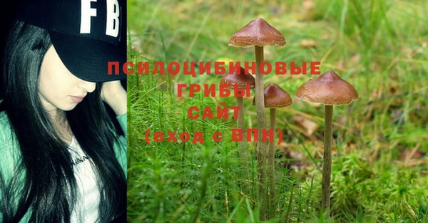 марки lsd Армянск