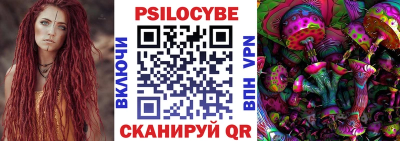 Галлюциногенные грибы Psilocybine cubensis  Шуя 